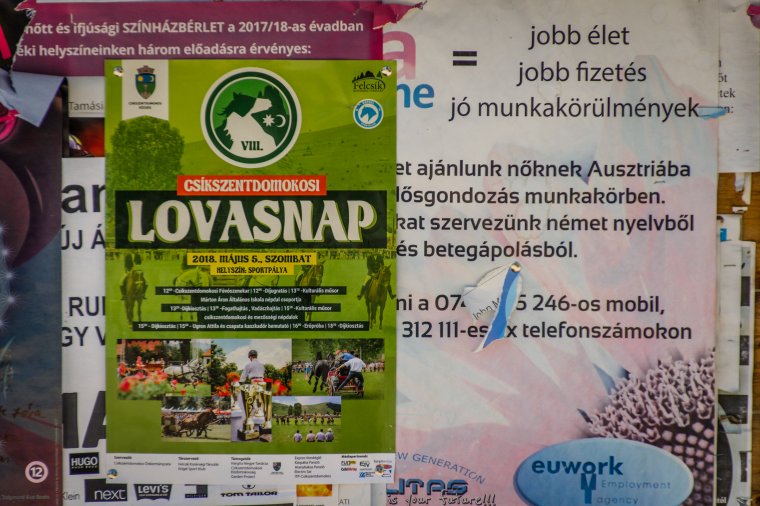 Közösségi üggyé nőtte ki magát a Csíkszentdomokosi Lovasnap