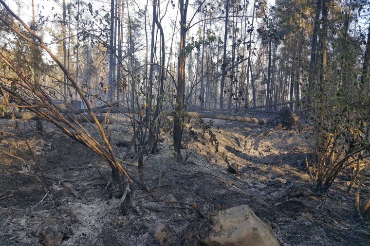 Nyolc hektáron pusztít a tűz