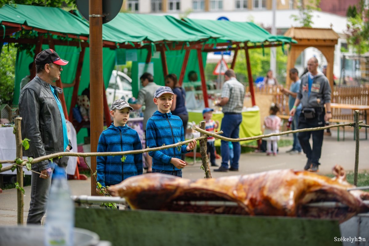 &bullet;  Fotó: Gecse Noémi