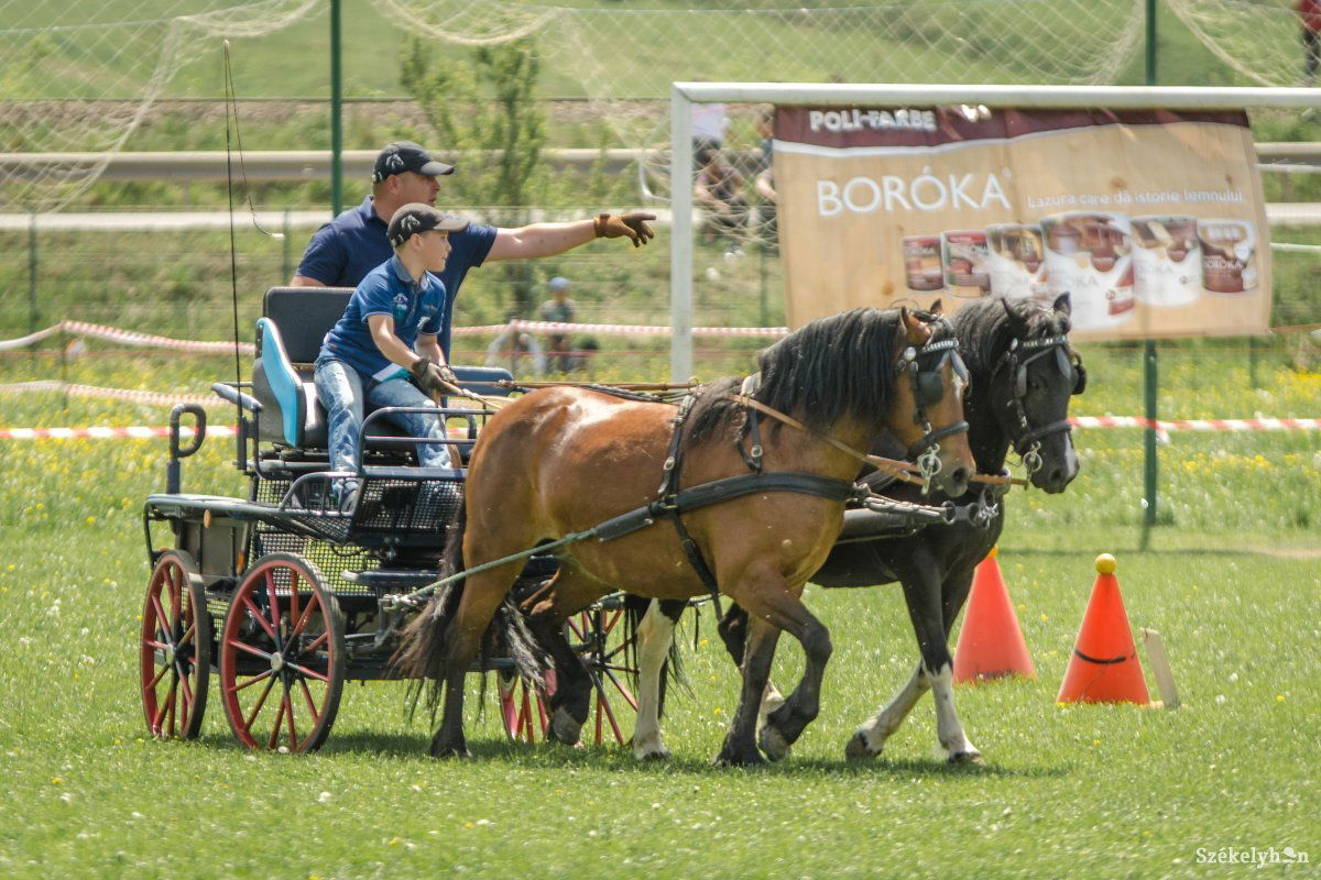 &bullet;  Fotó: Pinti Attila