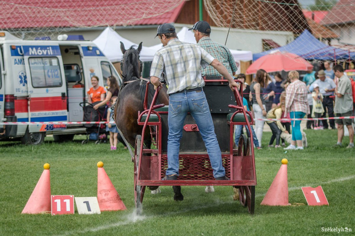 &bullet;  Fotó: Pinti Attila