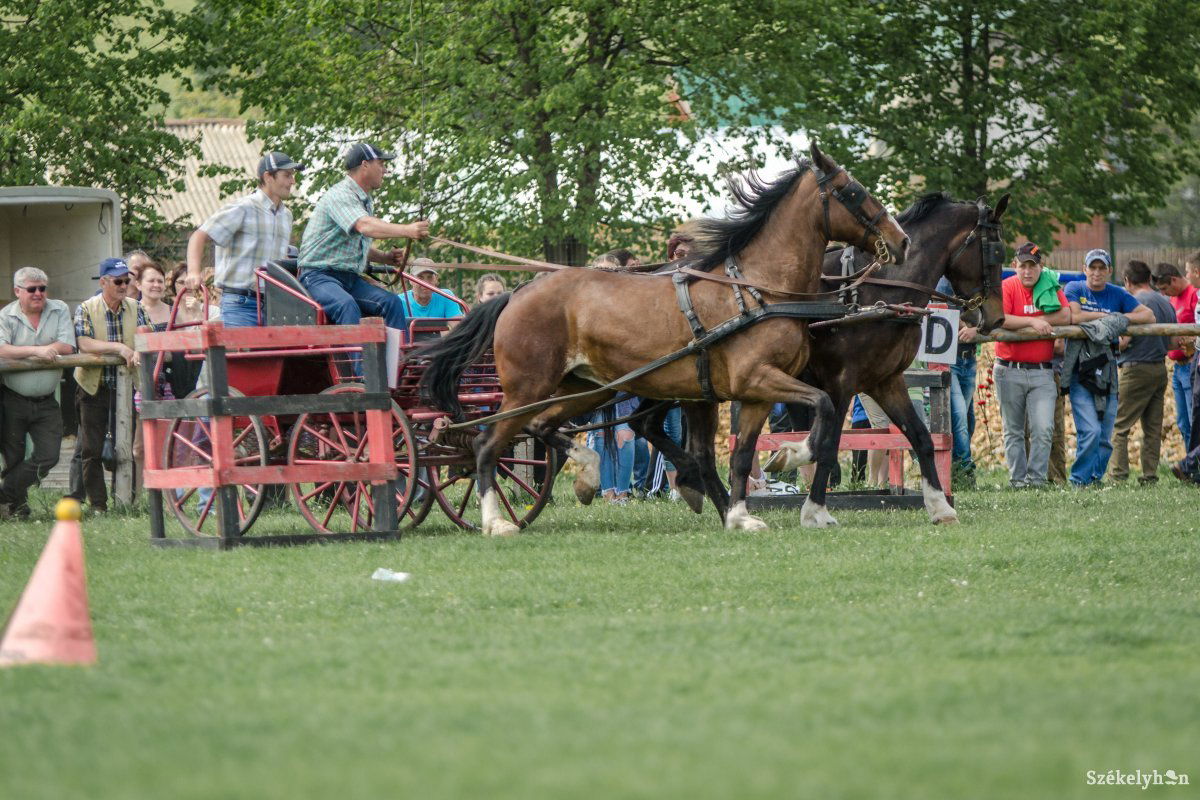 &bullet;  Fotó: Pinti Attila