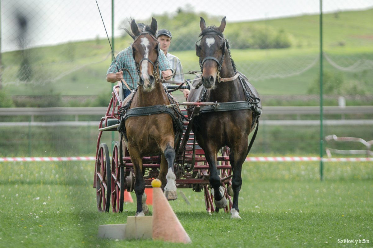 &bullet;  Fotó: Pinti Attila