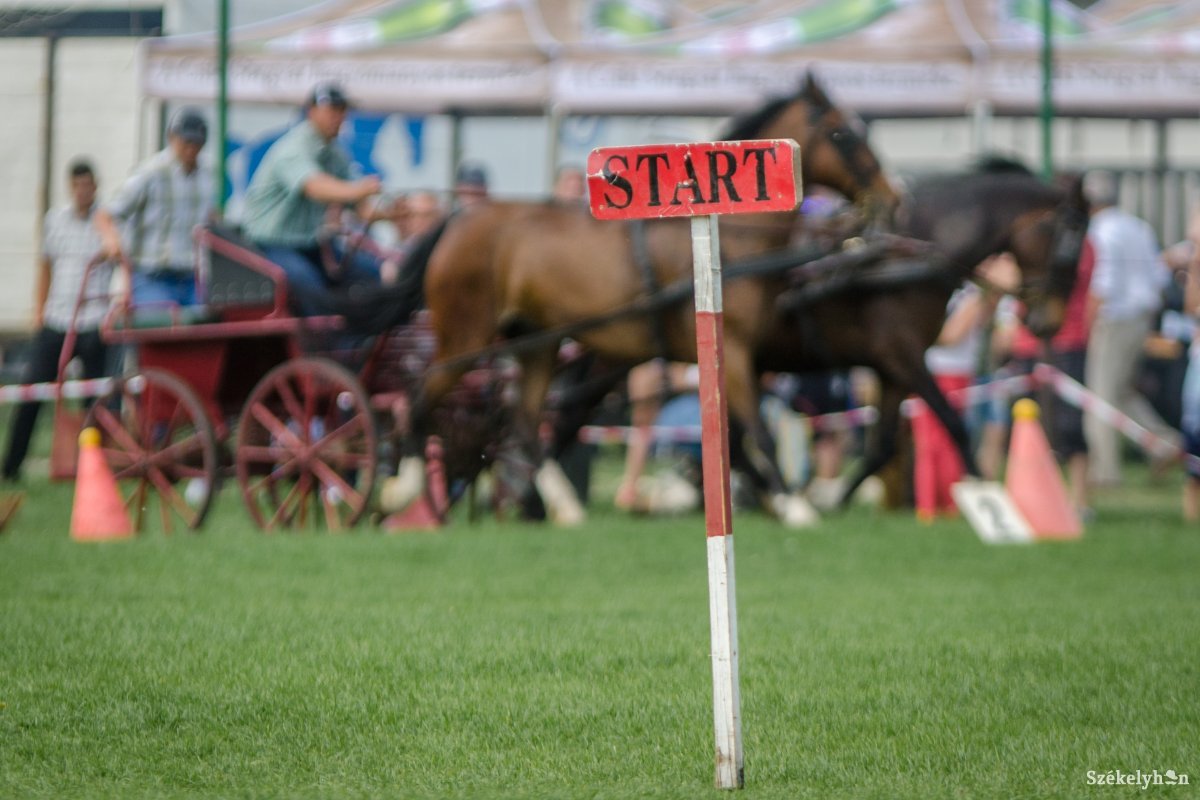&bullet;  Fotó: Pinti Attila