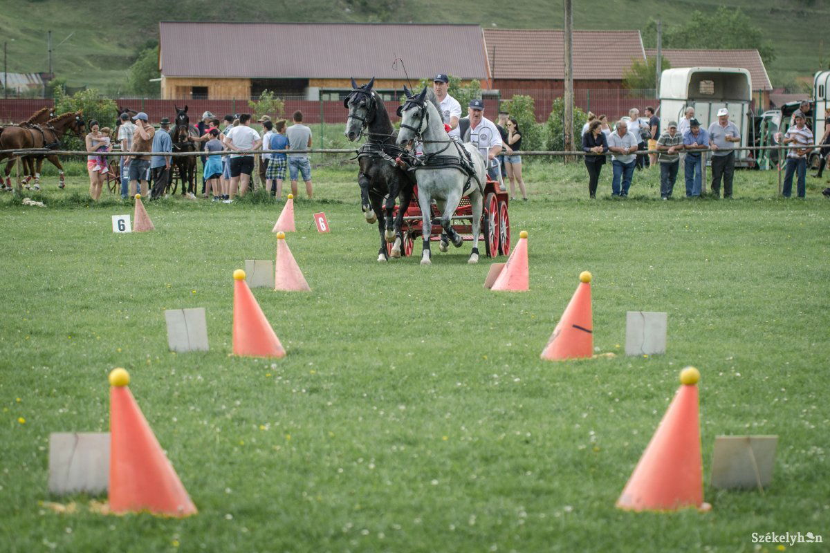 &bullet;  Fotó: Pinti Attila