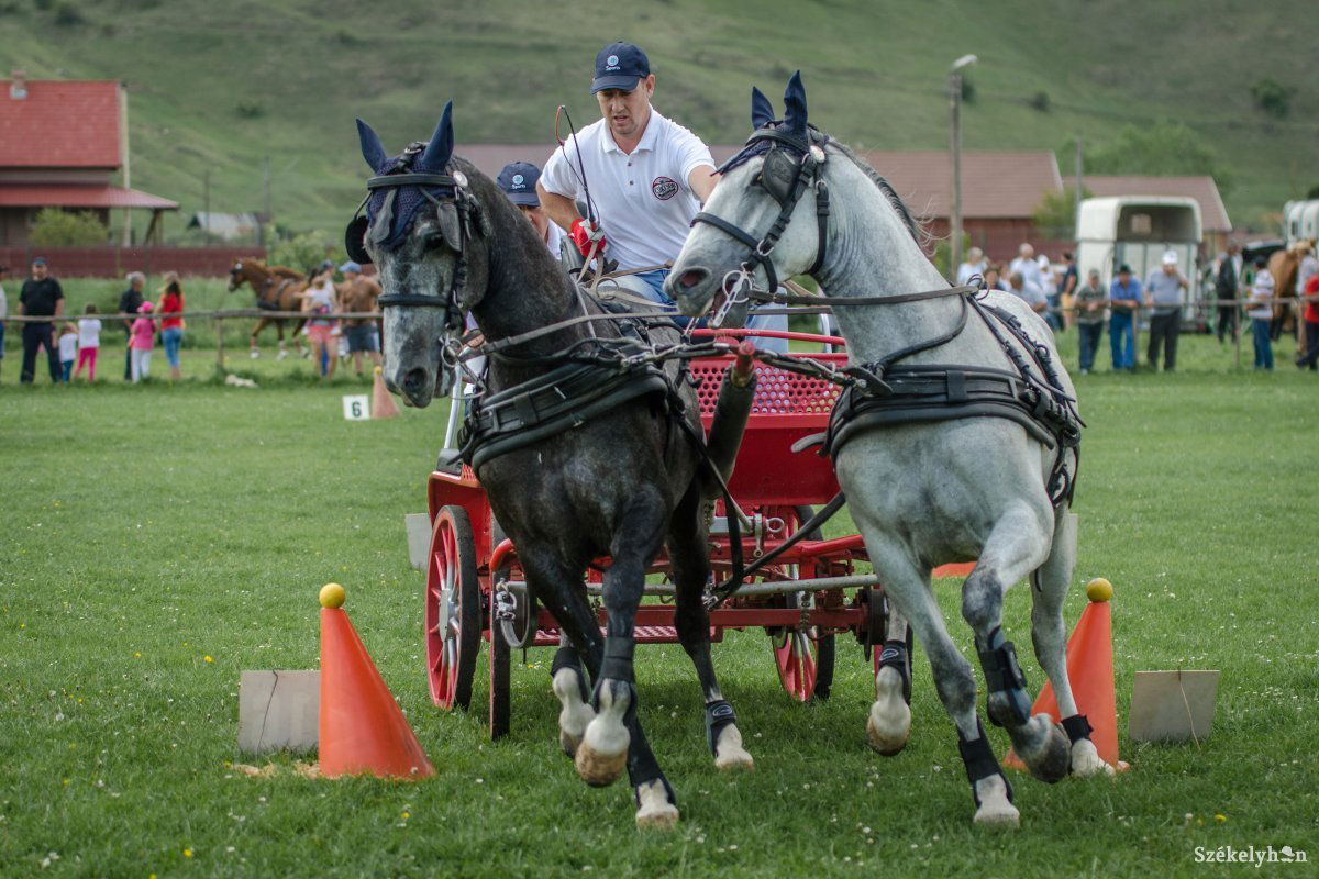 &bullet;  Fotó: Pinti Attila
