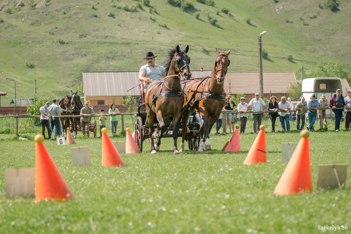 &bullet;  Fotó: Pinti Attila