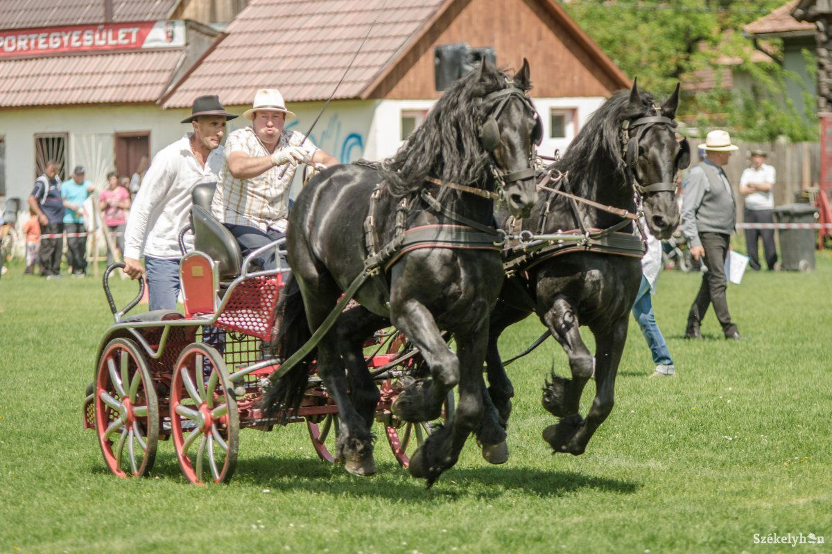 &bullet;  Fotó: Pinti Attila