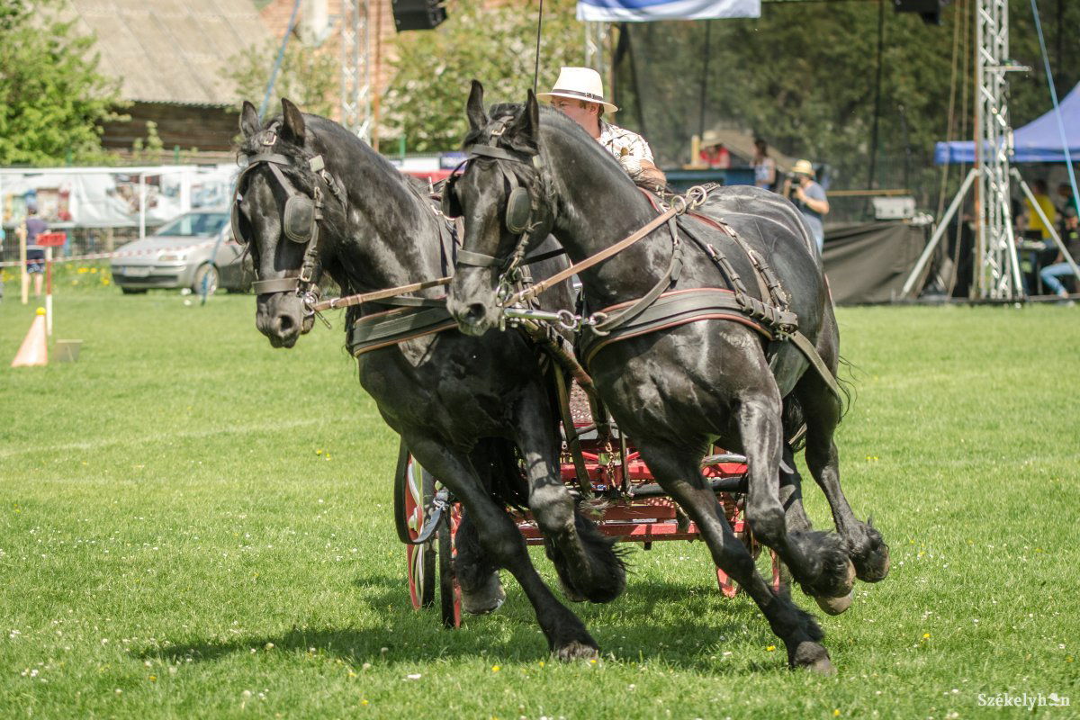 &bullet;  Fotó: Pinti Attila