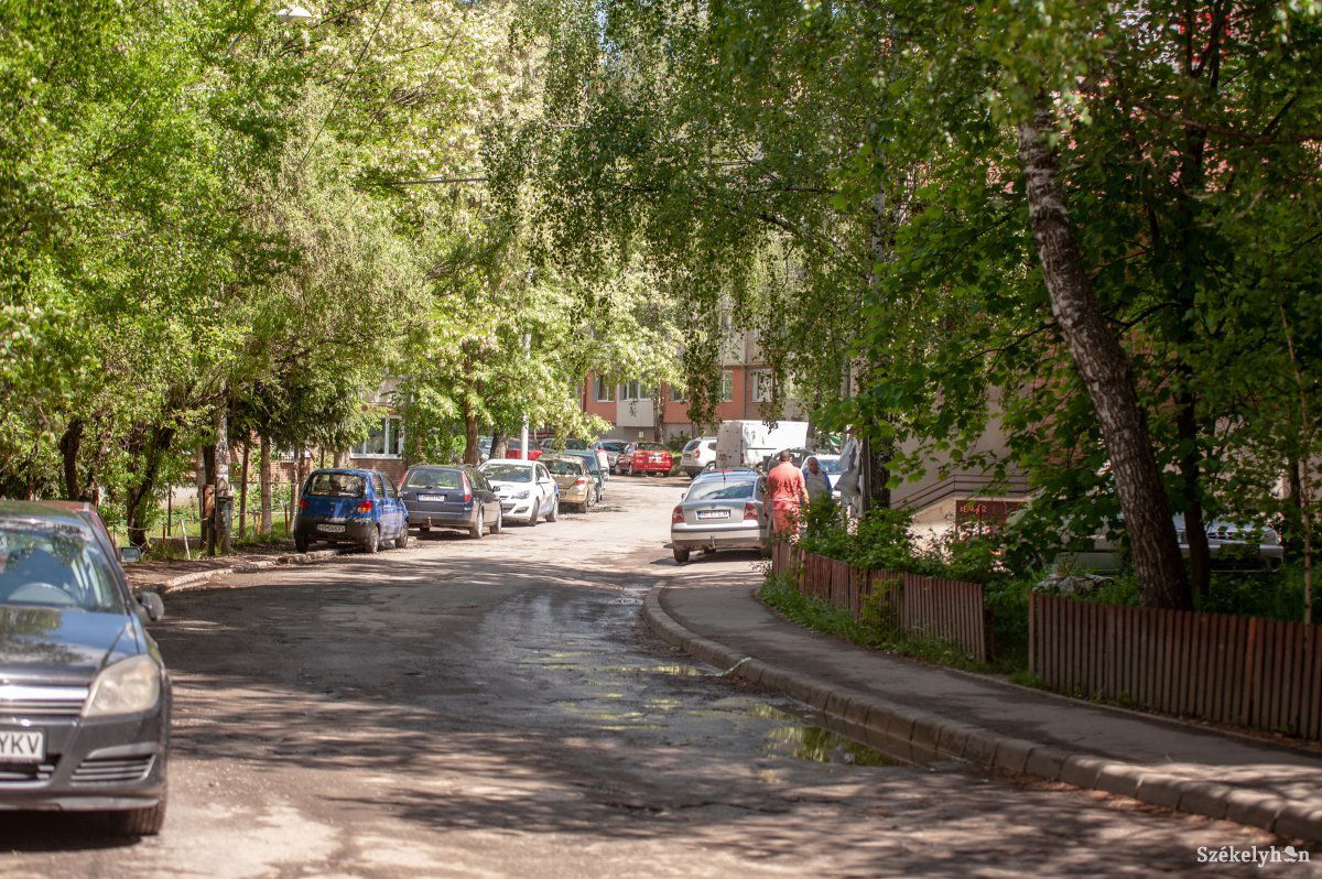 &bullet;  Fotó: Gecse Noémi