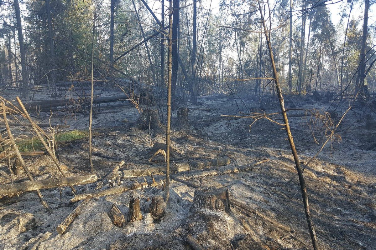 &bullet;  Fotó: Karcfalva község/Facebook