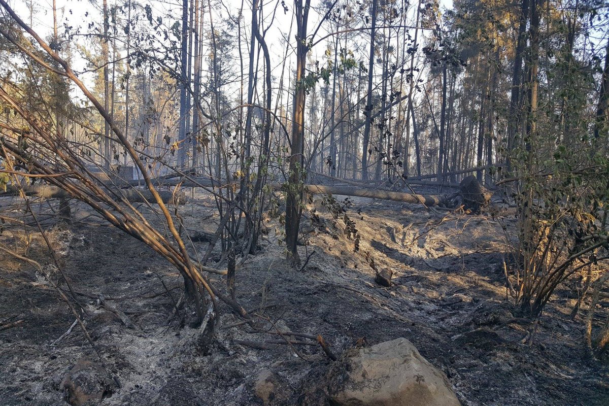 &bullet;  Fotó: Karcfalva község/Facebook