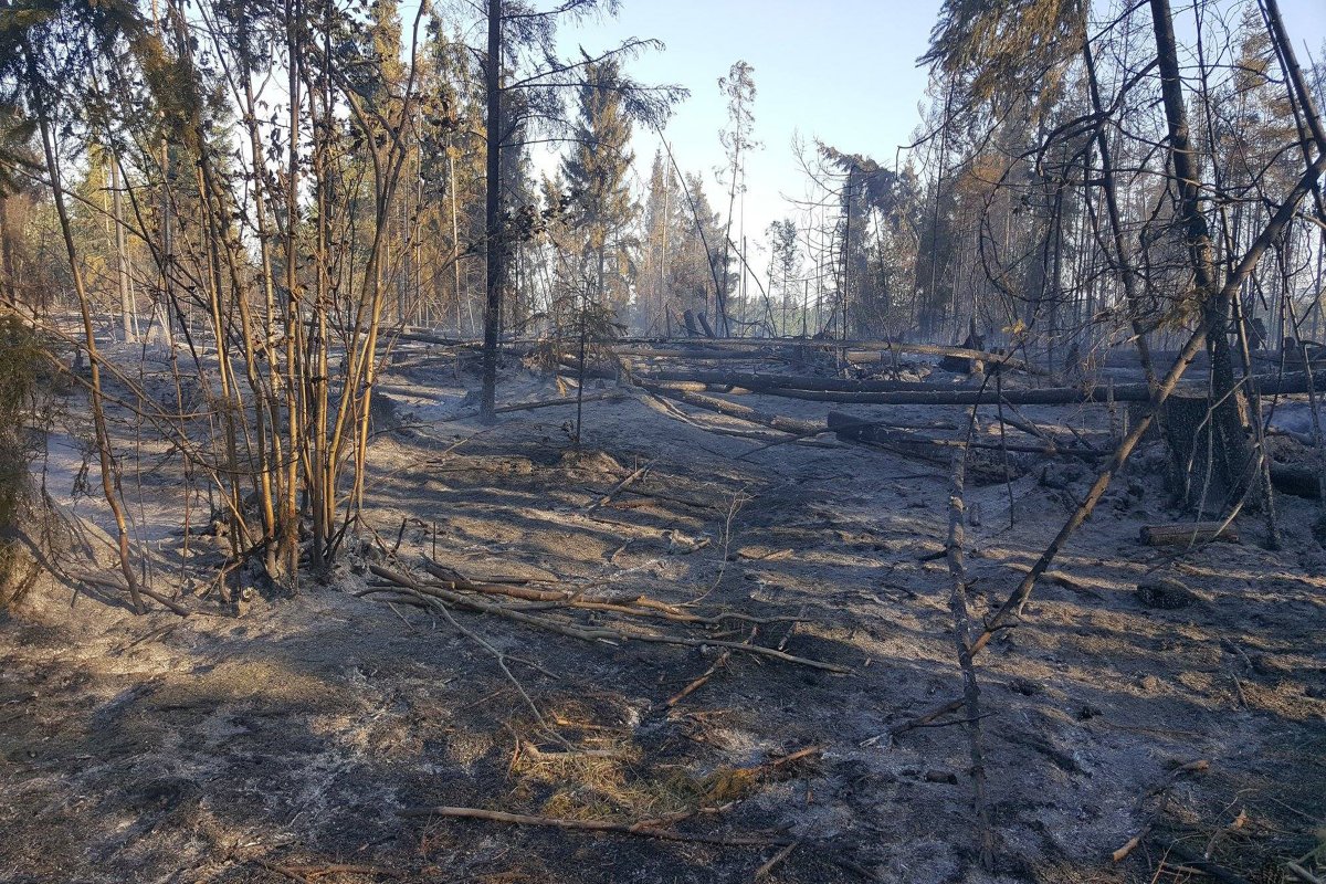 &bullet;  Fotó: Karcfalva község/Facebook