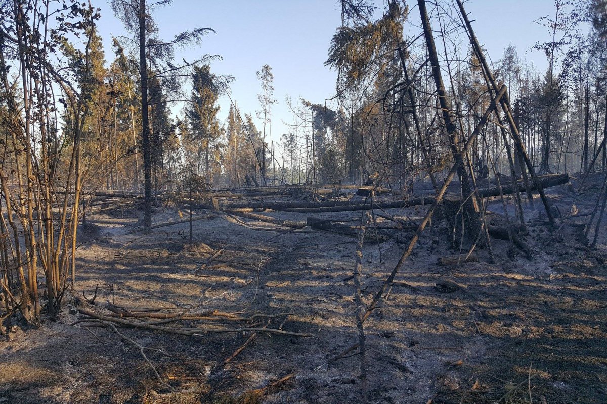 &bullet;  Fotó: Karcfalva község/Facebook