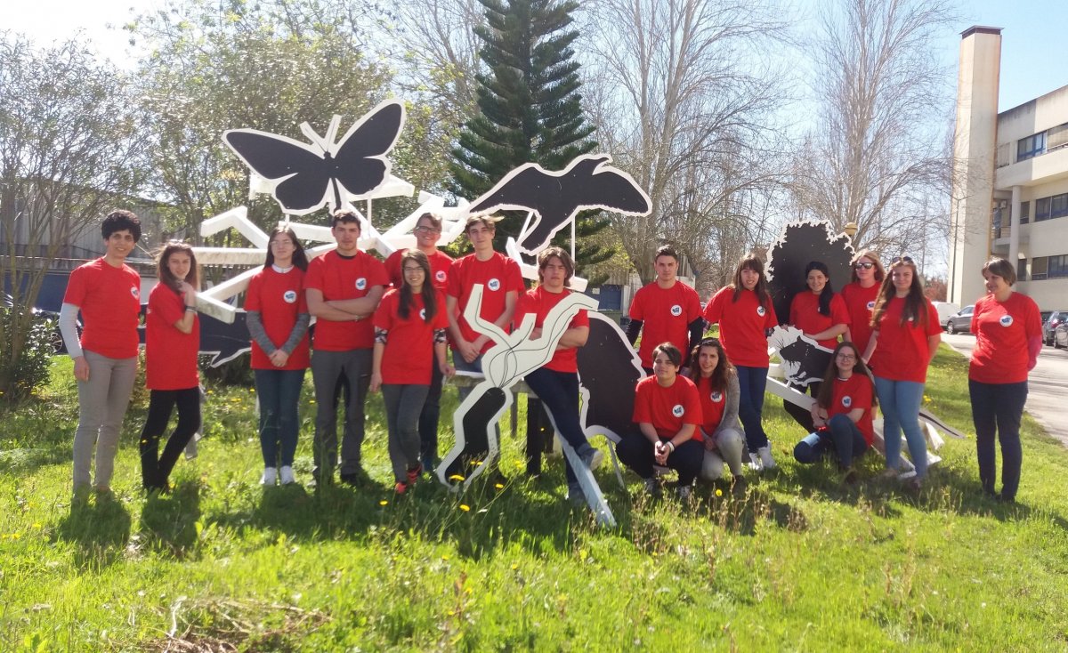 &bullet;  Fotó: Lapohos Anna-Mária