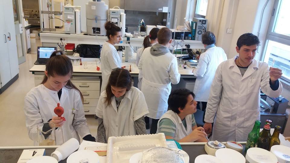 &bullet;  Fotó: Lapohos Anna-Mária