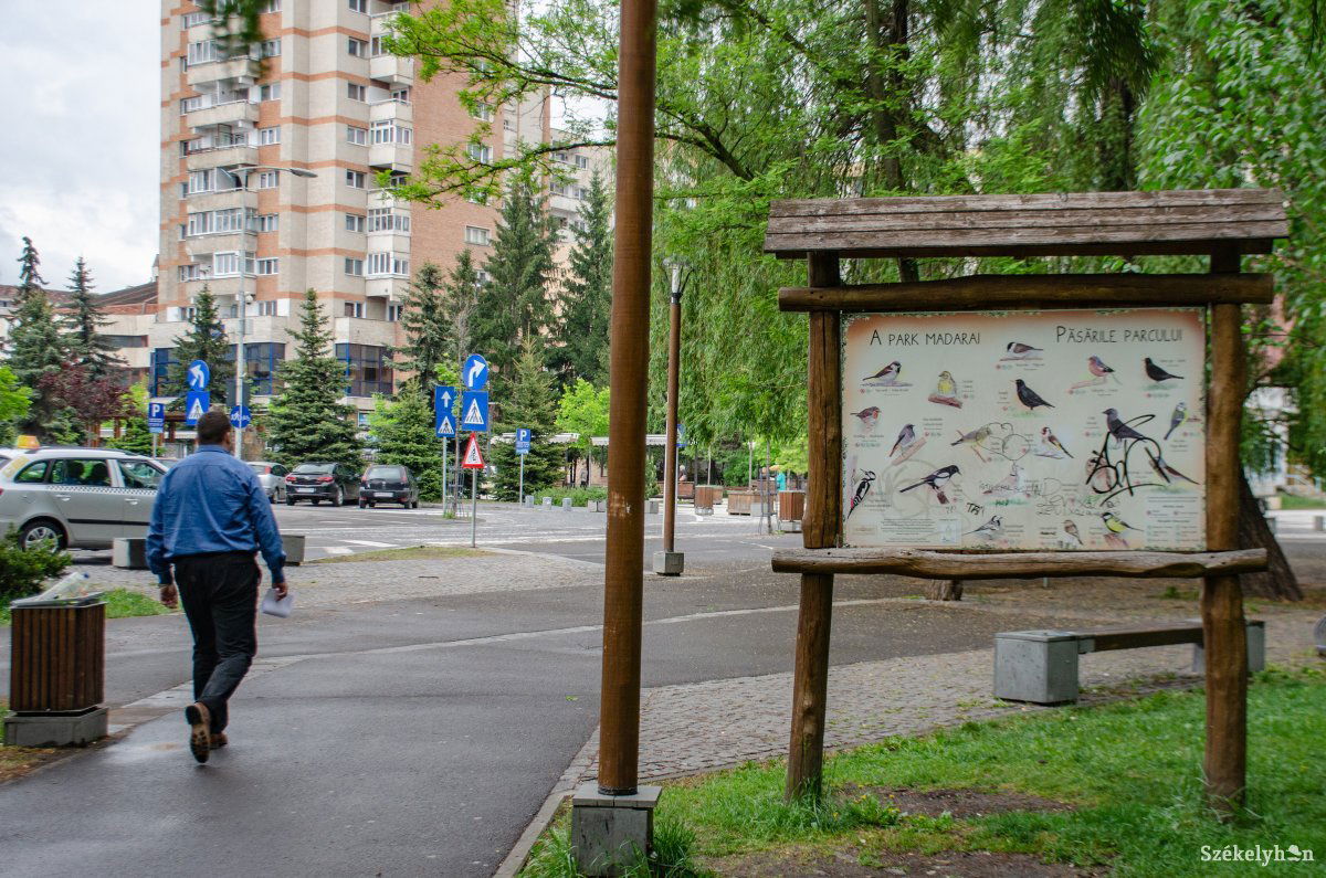 Ismertető a park madarairól. A város szívének élővilágát lehet megismerni &bullet;  Fotó: Gecse Noémi