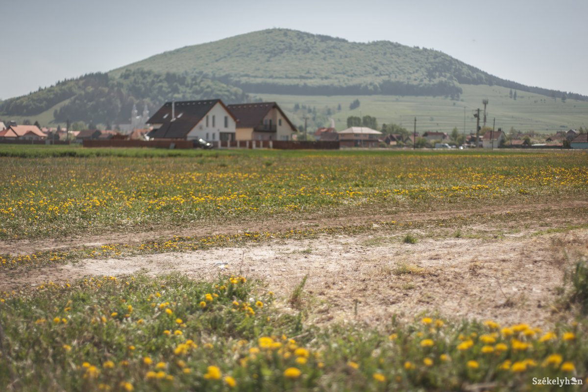 Szerdán délelőtt. Amilyen gyorsan kihordták, olyan hamar eltakarították a szemetet &bullet;  Fotó: Pinti Attila
