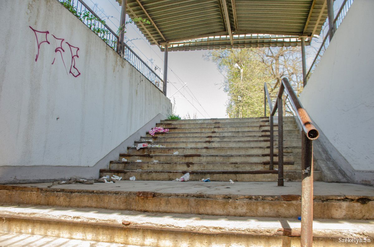 &bullet;  Fotó: Gecse Noémi