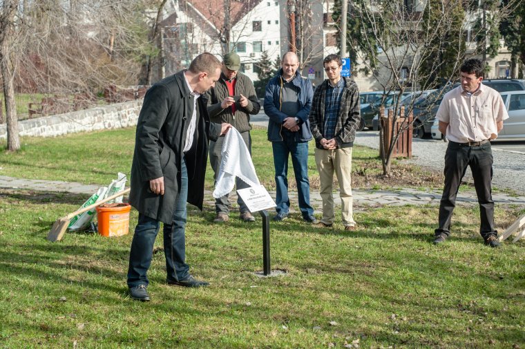 A férfi-nő szövetség megerősítésének szükségességére hívják fel a figyelmet