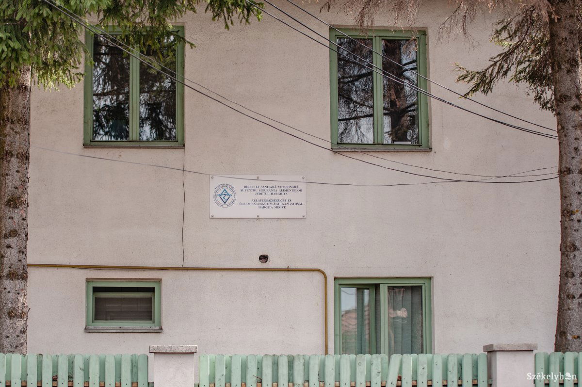 &bullet;  Fotó: Gecse Noémi