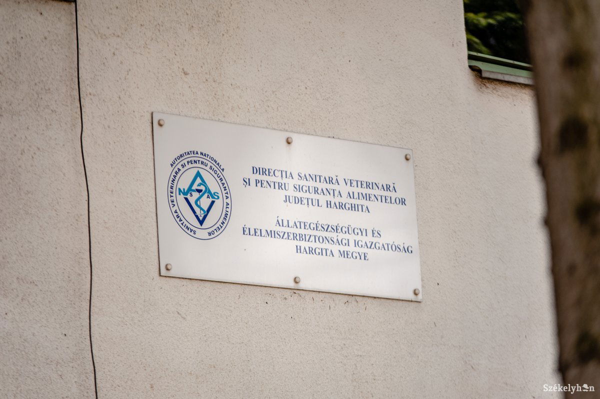 &bullet;  Fotó: Gecse Noémi