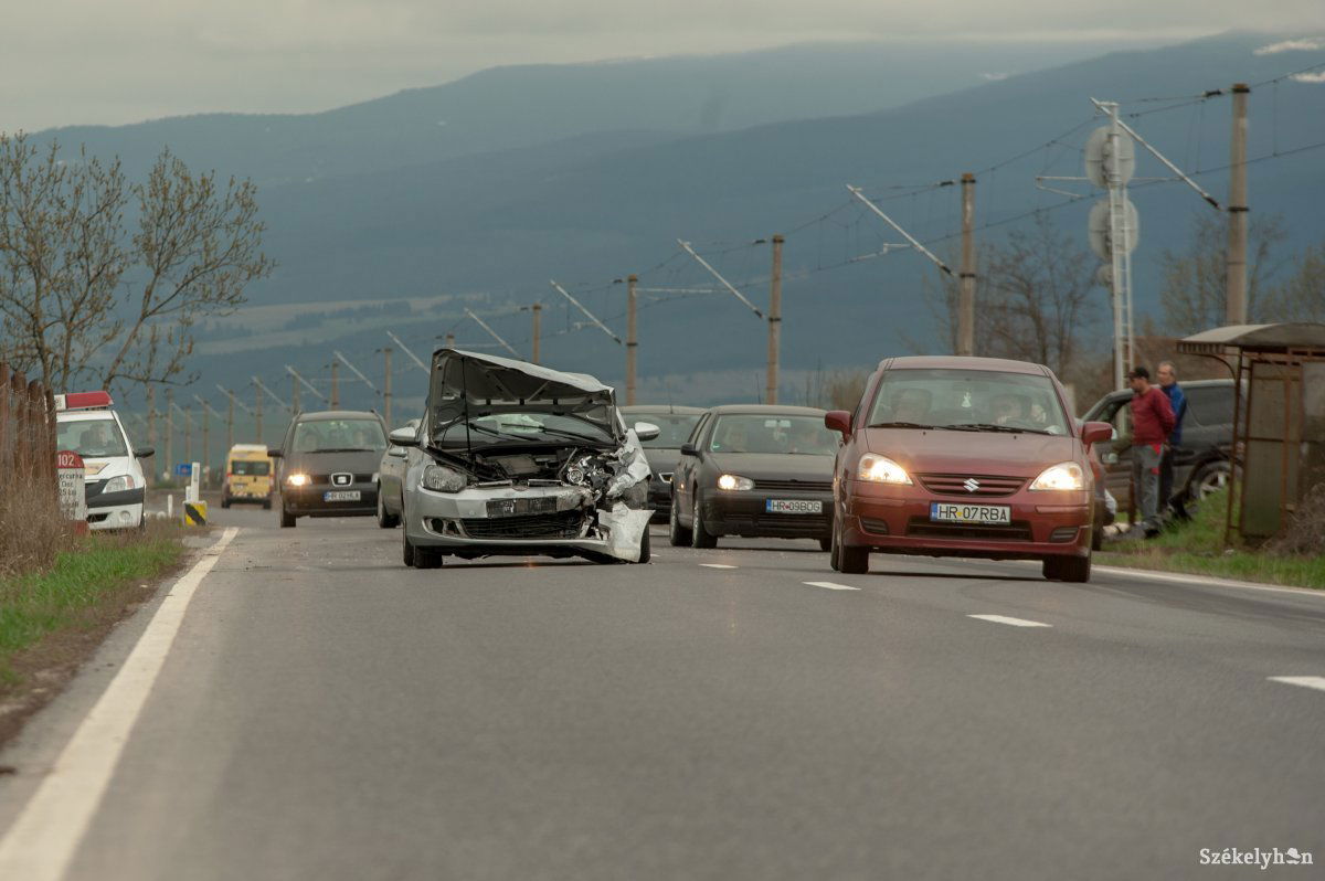 • Fotó: Gecse Noémi