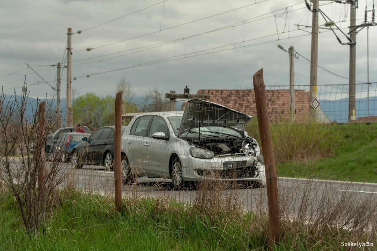 •  Fotó: Gecse Noémi