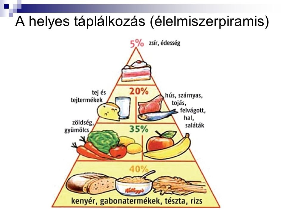 &bullet;  Fotó: Slidelayer.hu