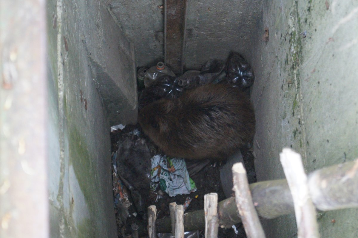 •  Fotó: Loic Mary