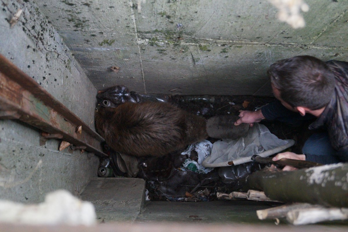 •  Fotó: Loic Mary