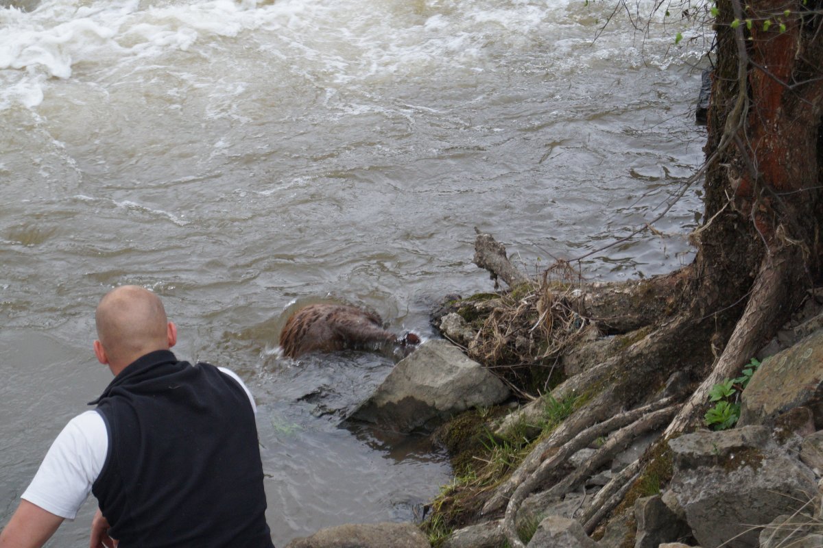 •  Fotó: Loic Mary
