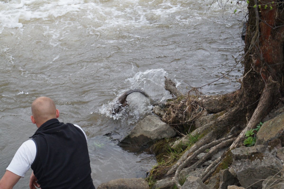 •  Fotó: Loic Mary