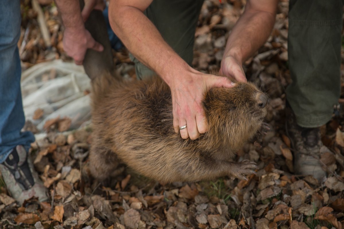 •  Fotó: Szabó Réka