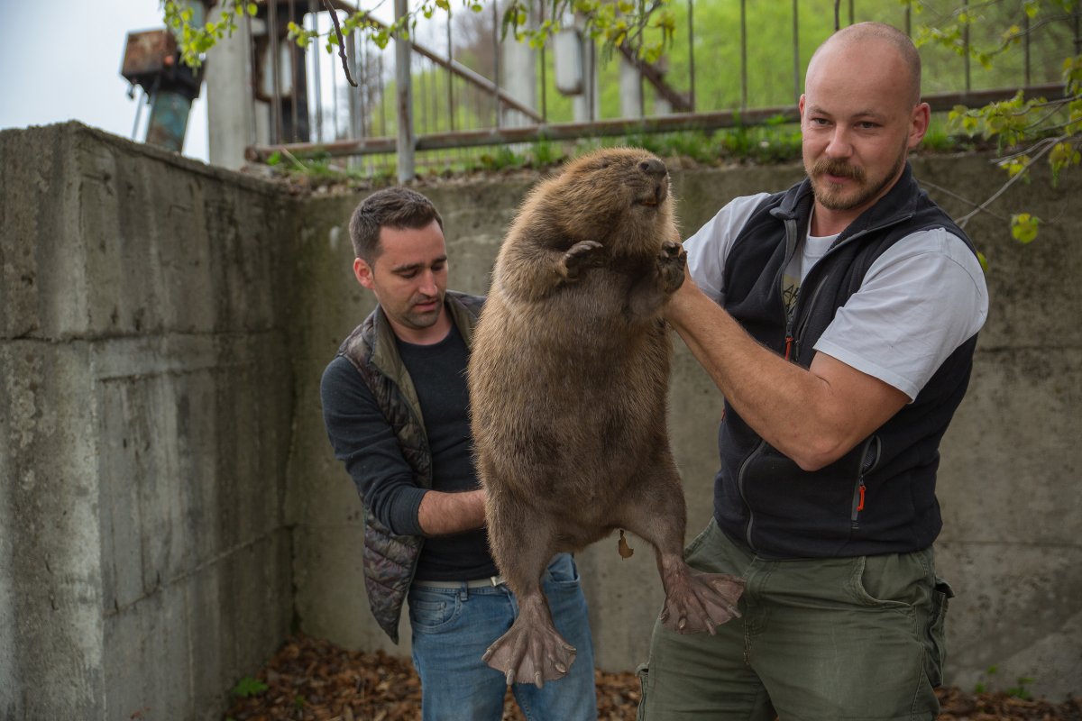 •  Fotó: Szabó Réka