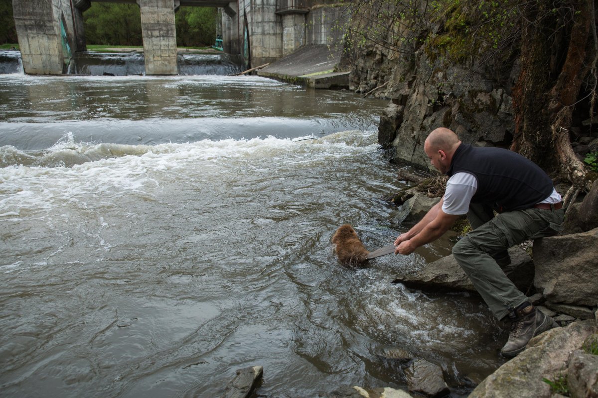 •  Fotó: Szabó Réka