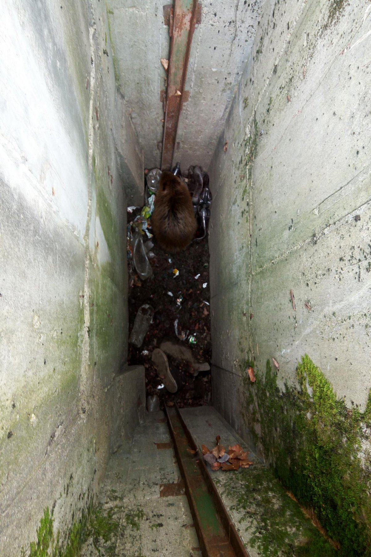 •  Fotó: Ulman Edgár