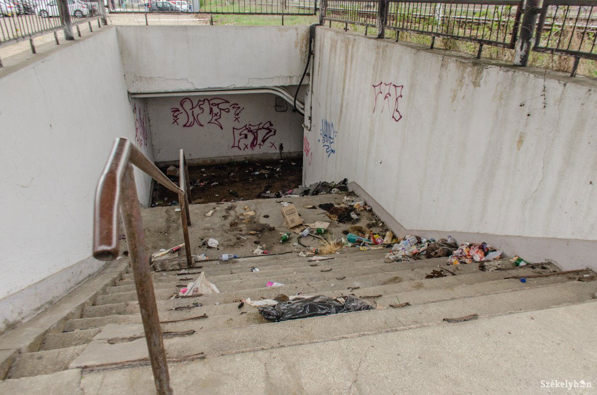 &bullet;  Fotó: Gecse Noémi