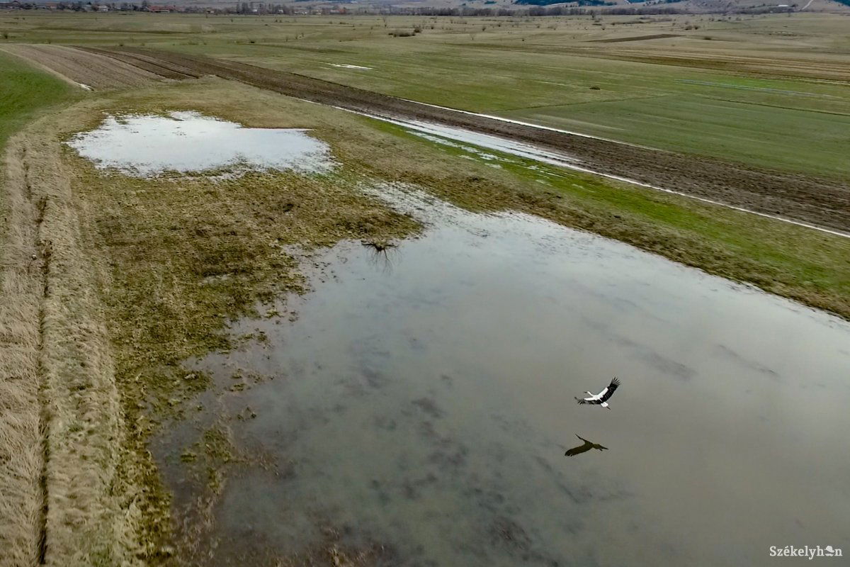 Víz alatt több parcella Alcsíkon. Csapadékos időszakon vagyunk túl •  Fotó: Farkas Tamás