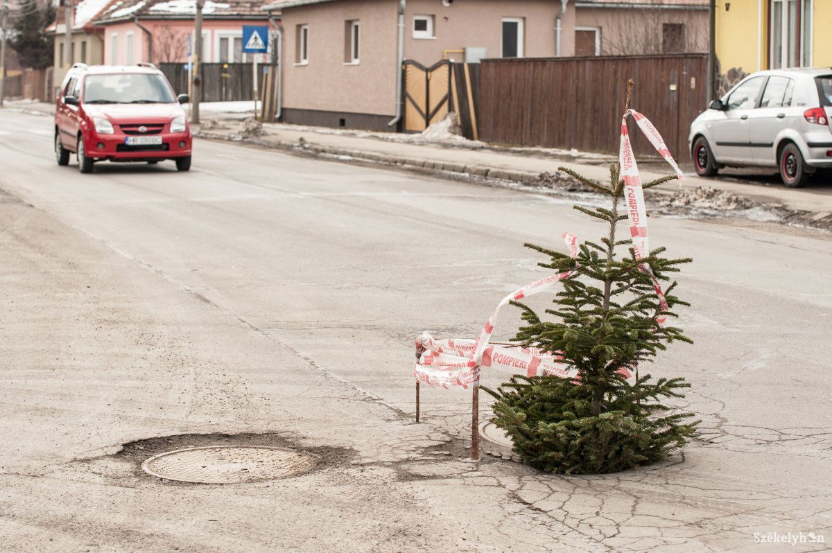 Kis fenyőfa is jelzi a balesetveszélyes gödröt •  Fotó: Gecse Noémi