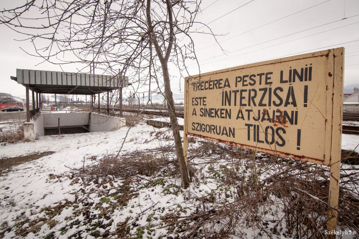 •  Fotó: Gecse Noémi