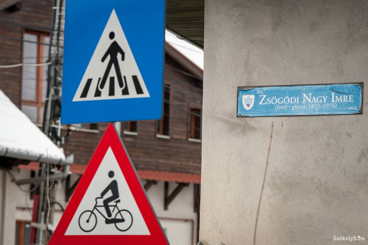 A Zsögödi Nagy Imre utcában többen panaszkodtak a bűzre •  Fotó: Gecse Noémi