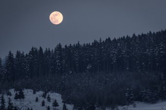 Szoros közelségbe kerül a Hold és a Mars, szabad szemmel is könnyen megfigyelhető lesz