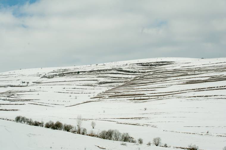 Érdemes a fiatal gazdáknak letenni a támogatásigénylést, mert ők több pénzt kaphatnak
