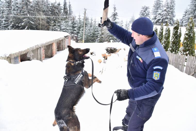 Megtalálja az eltűnteket, de még a szökevényeket is