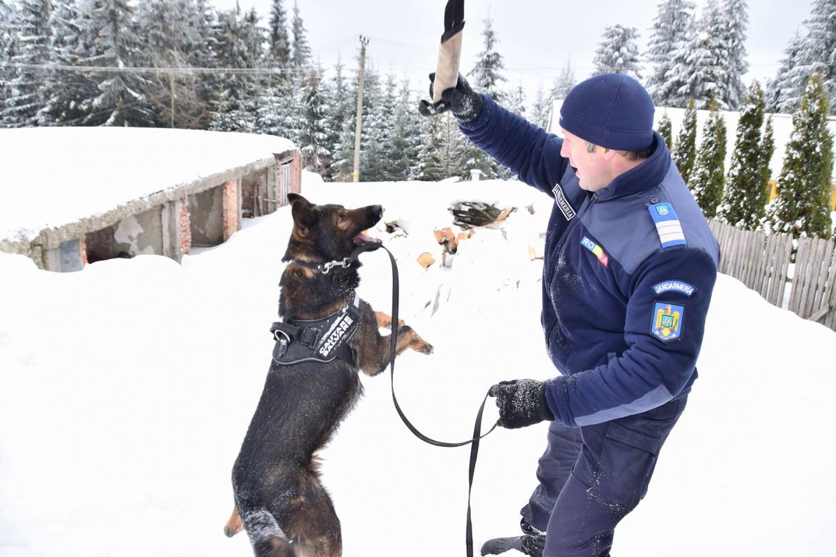•  Fotó: Hargita Megyei Csendőr-felügyelőség