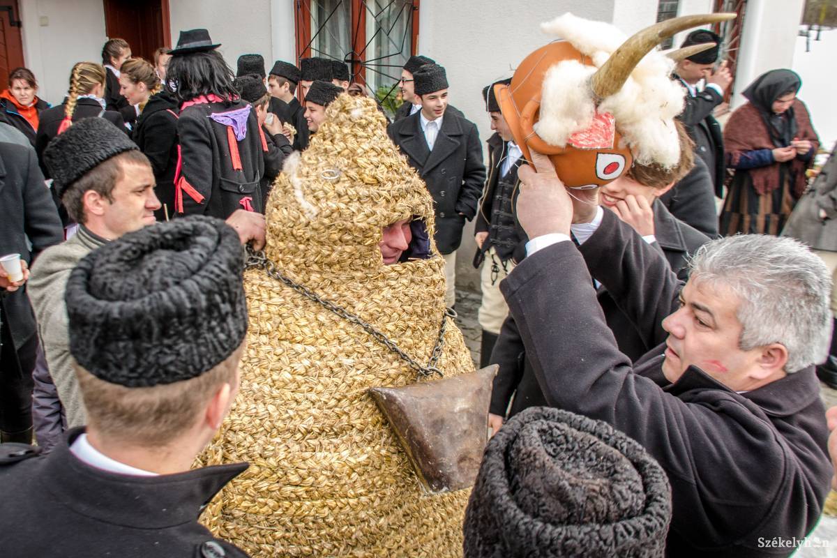 Minden évben más faluban „ütődik meg” a bika •  Fotó: Pinti Attila