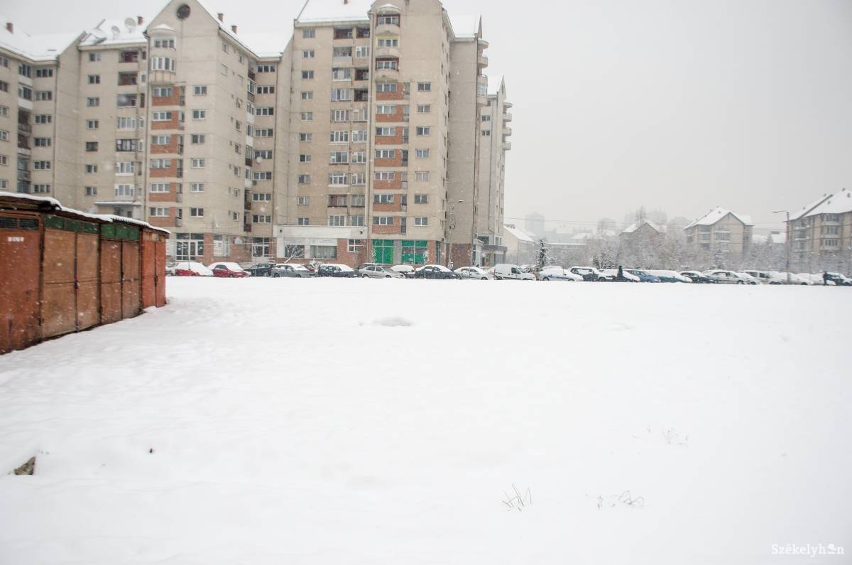 •  Fotó: Gecse Noémi