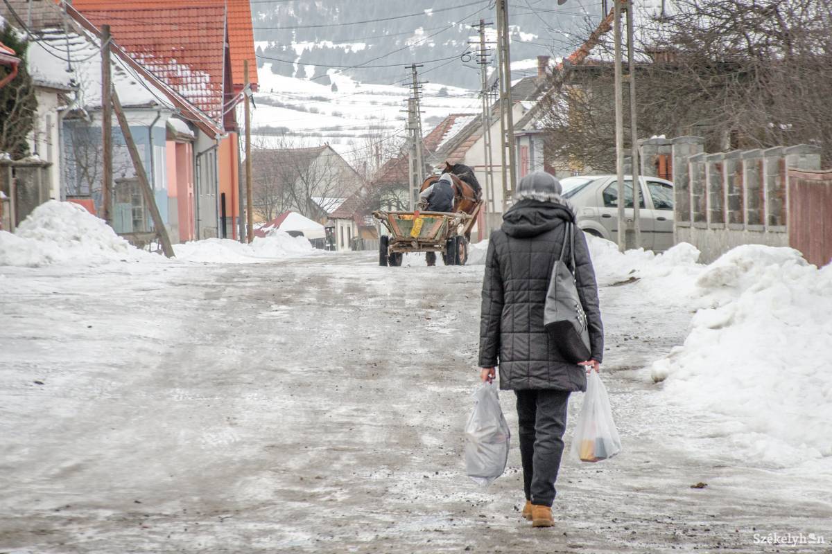 • Fotó: Pinti Attila