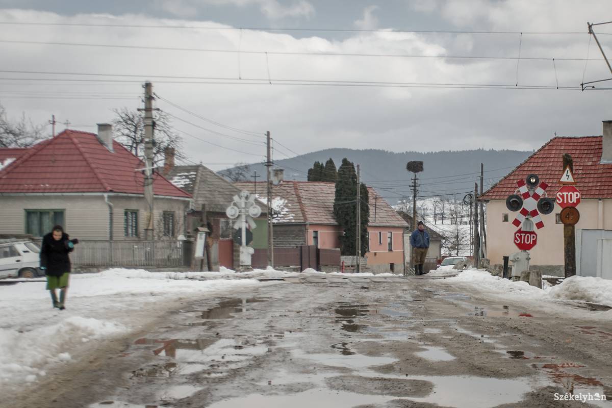 •  Fotó: Pinti Attila